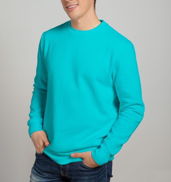Premium Sweatshirt For Mens-Paste